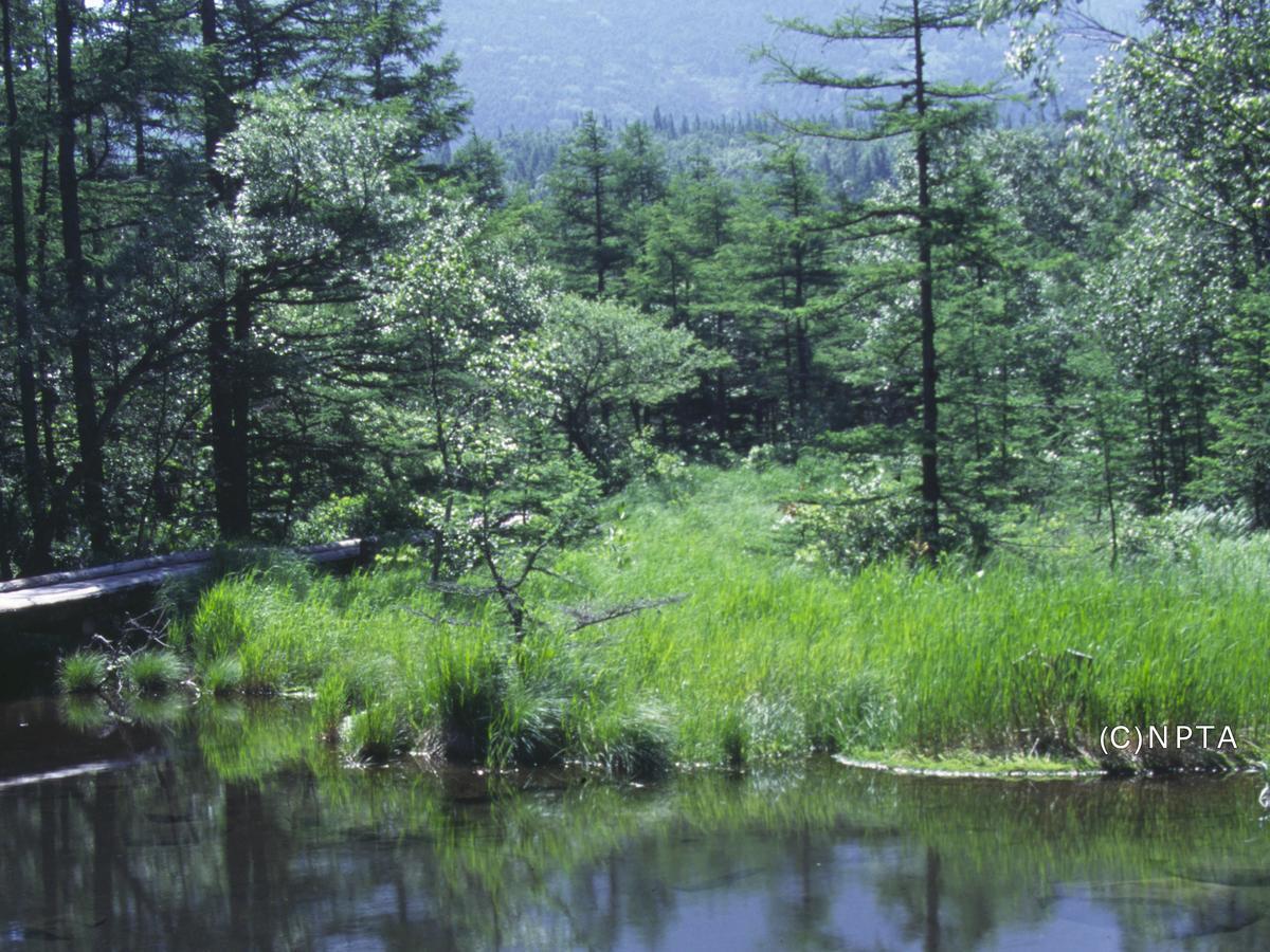 Le Grand Kyu Karuizawa Hotell Exteriör bild